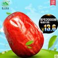 ТОО Синьцзянская компания пищевых продуктов «Сюе шань Гоу юань »
