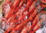 ТОО Урумчийская компания морских и речных продуктов«Цзинь Хайжун»