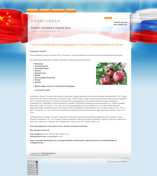 Компания "Хунчипэ"